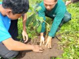 PERSIAPAN MENUJU SEKOLAH ADIWIYATA